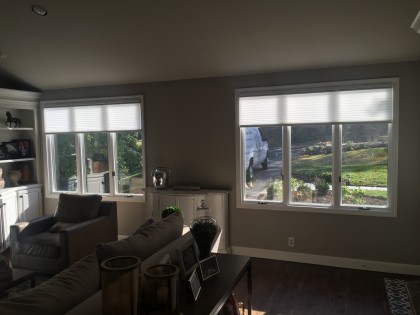 Honeycomb Shades In Ladue