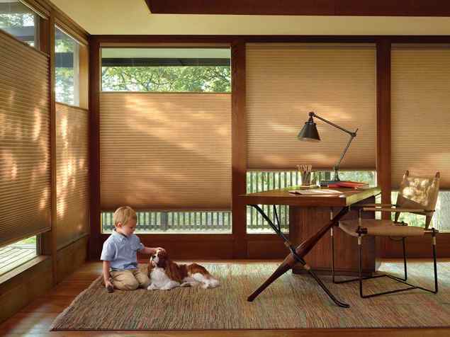 Duette honeycomb shades india silk