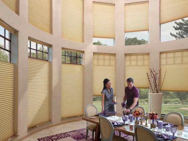 Duette honeycomb shades trielle