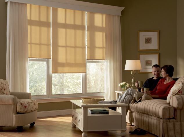 Hunter douglas designer roller shades