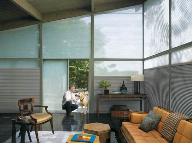 Hunter douglas duette architella honeycombs