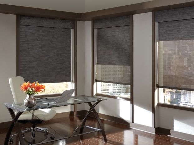 Hunter douglas designer screen shades